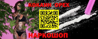 прущие крисы Гусев
