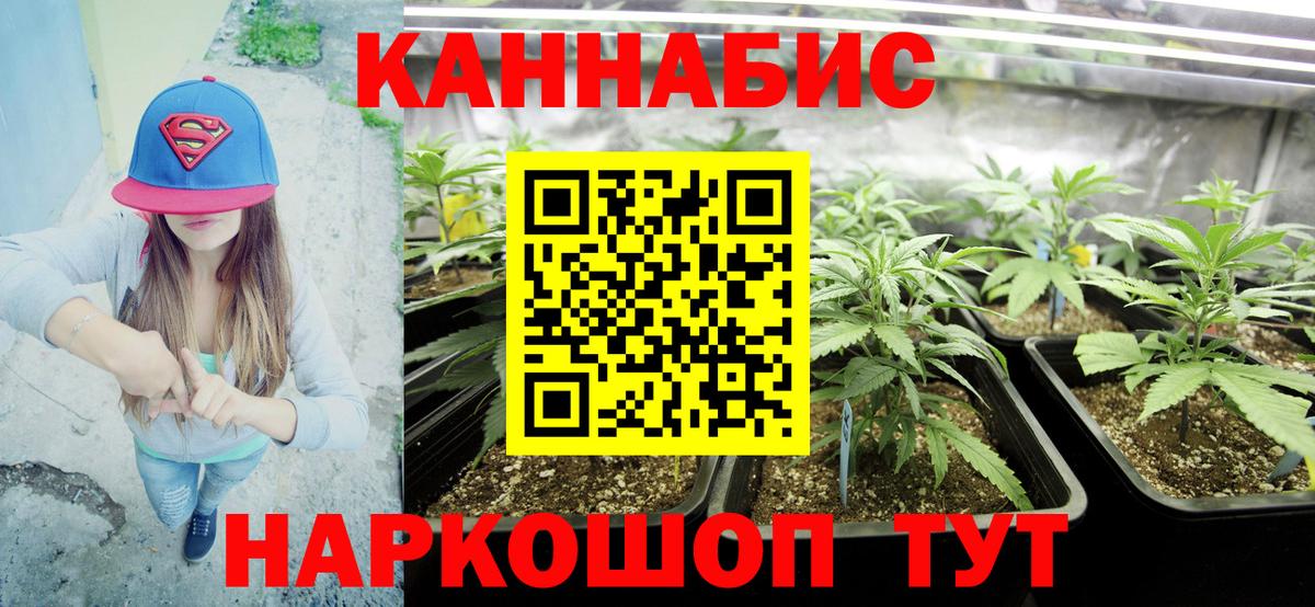 Канабис ГИДРОПОН Ростов Великий